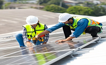 速看，這所2W人高校如何利用暑期，快速搭建綠色校園